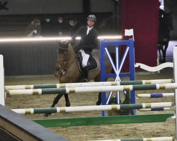 Reitturnier Darmstadt-Kranichstein 2021