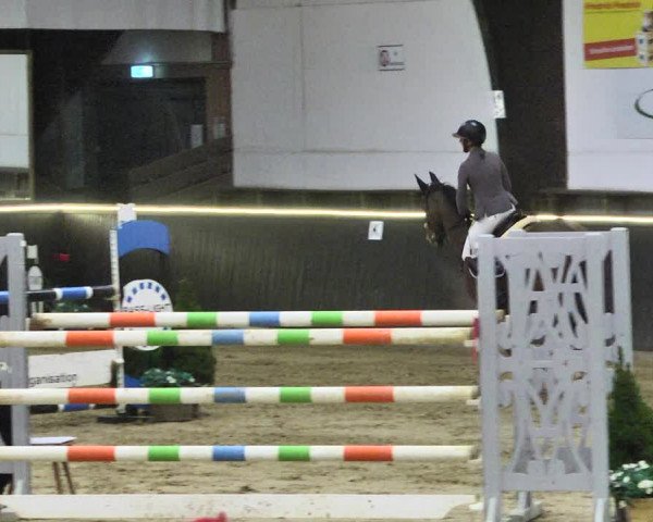 Reitturnier Darmstadt-Kranichstein 2021