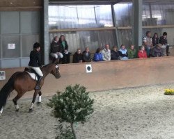 dressage horse FS Serafina Pekkala (Rhinelander, 2007, from Sandro Classic)