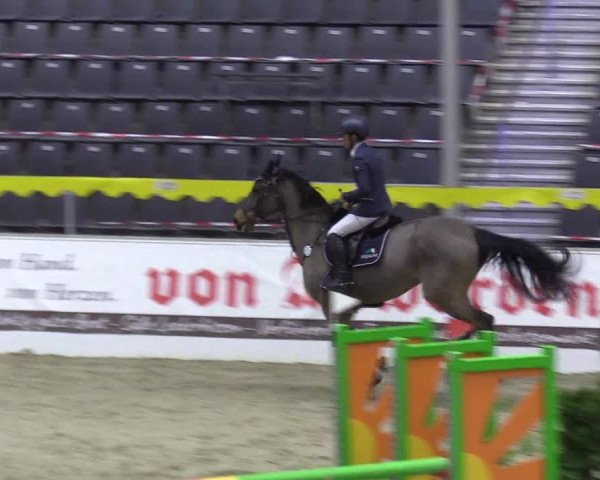 Reitturnier Verden Montagsclub 2021