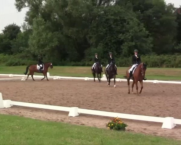 jumper Amy Audrey (Rhinelander, 2002, from Angelo Z)