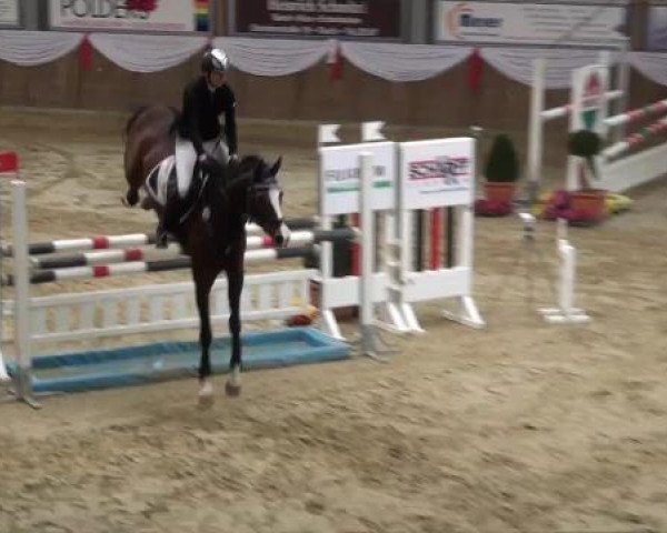 jumper Maybe Forever Ey (German Riding Pony, 2001, from Mentos)