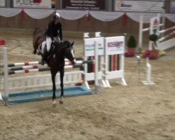 jumper Maybe Forever Ey (German Riding Pony, 2001, from Mentos)