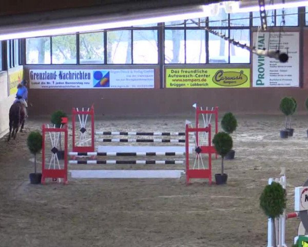 jumper Cool Fox (Rhinelander, 2002, from Calido I)