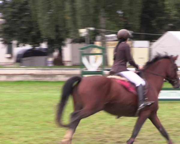 Reitturnier Altmittweida 2021