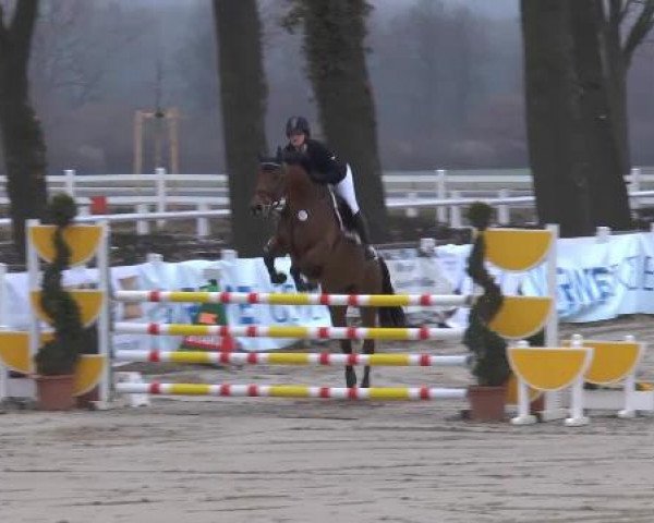 jumper Lapateada (Westphalian, 2007, from Lapateado)