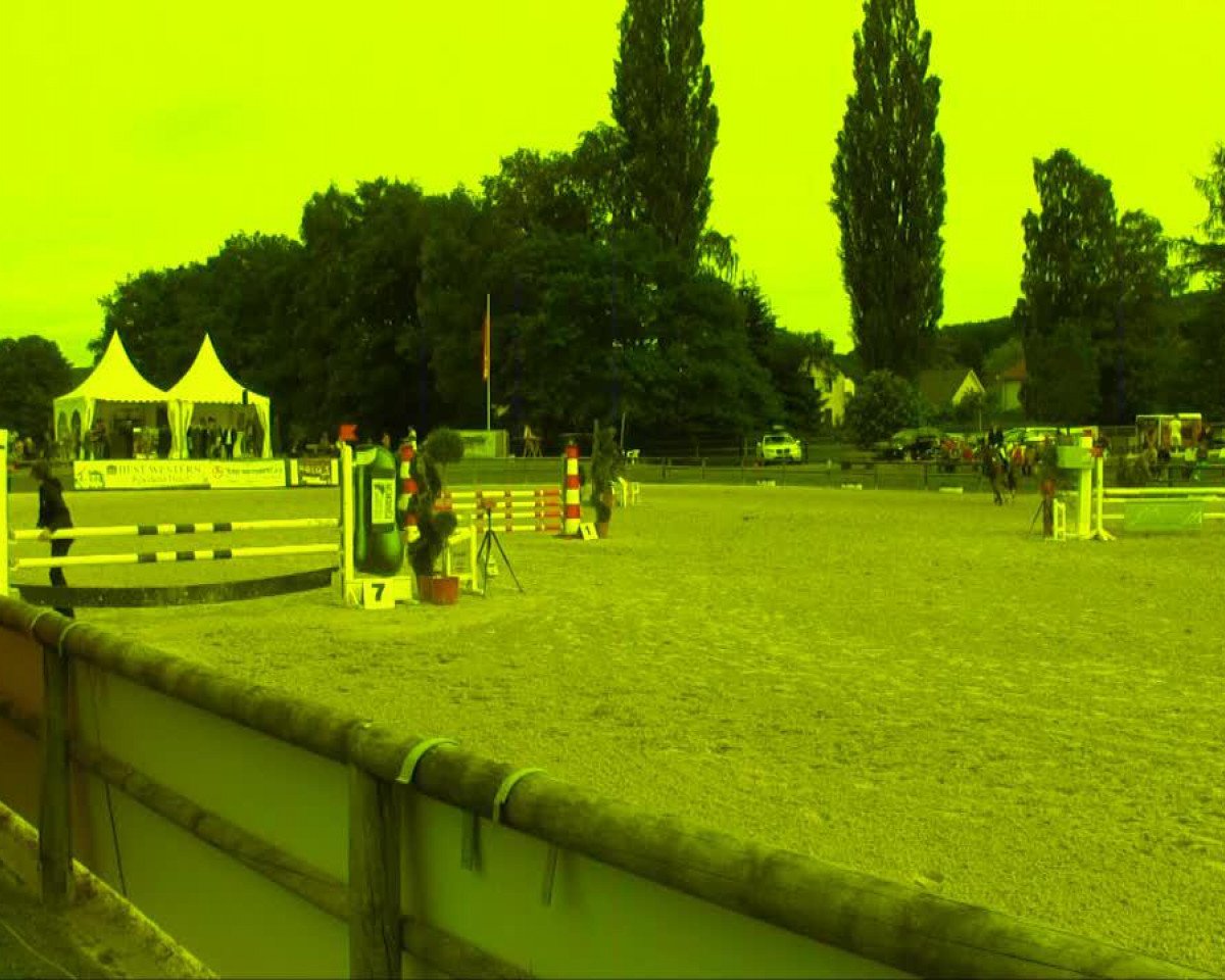Springpferd Contendro W (Westfale, 2003, von Con Capitol)