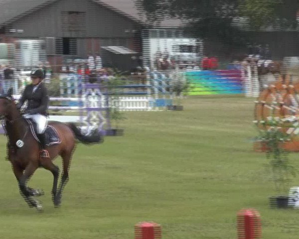 jumper Cuchen Girl R (Westphalian, 2005, from Collin L)