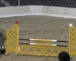 jumper Cosima 188 (Westphalian, 2003, from Contini)