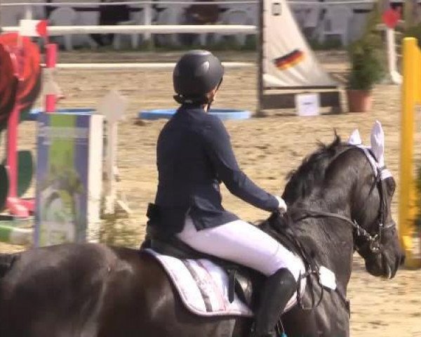 broodmare Flora 415 (Westphalian, 2004, from Florestan I)