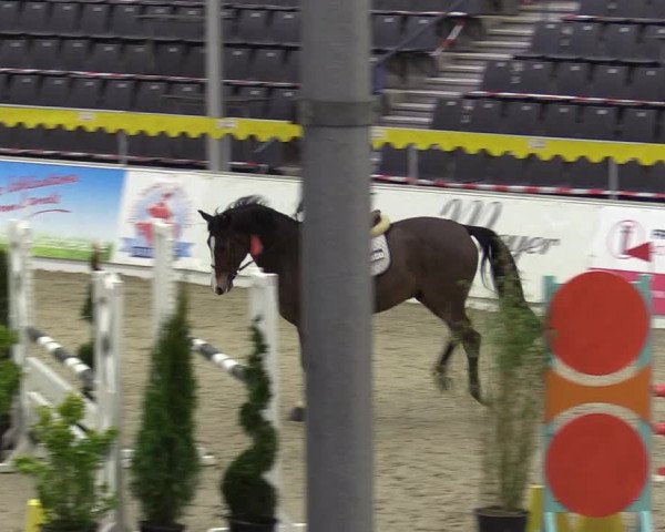 Reitturnier Verden Montagsclub 2021