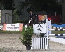 jumper Phönix B (Westphalian, 2004, from Potential)