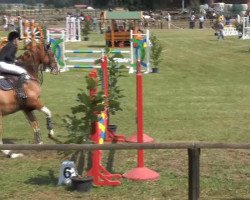 Springpferd Legolas 133 (Westfale, 2005, von Lissabon 29)