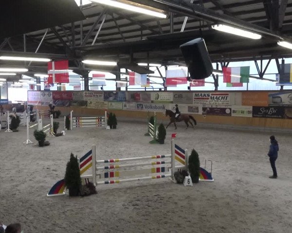 Reitturnier Keppeln - Reitanlage "Hötzenhof" 2021