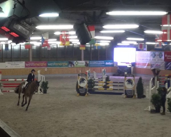 Reitturnier Keppeln - Reitanlage "Hötzenhof" 2021
