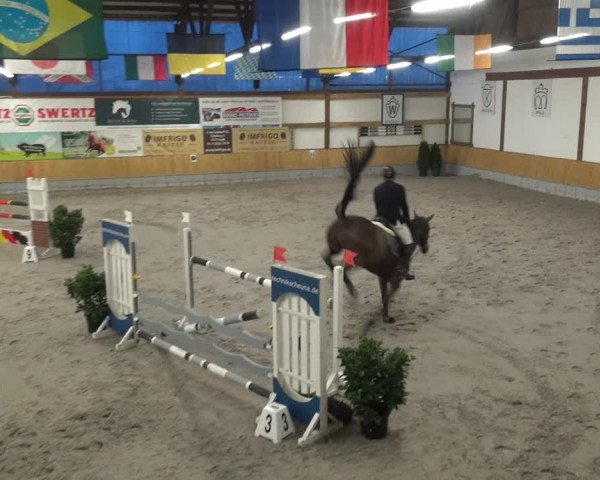 Reitturnier Keppeln - Reitanlage "Hötzenhof" 2021
