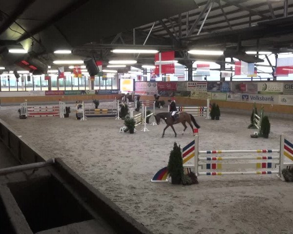 Reitturnier Keppeln - Reitanlage "Hötzenhof" 2021