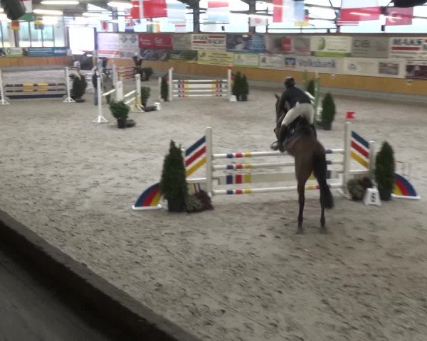 Reitturnier Keppeln - Reitanlage "Hötzenhof" 2021