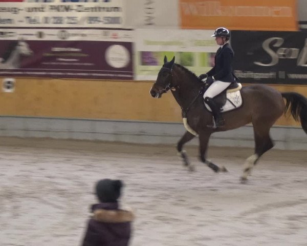 Reitturnier Keppeln - Reitanlage "Hötzenhof" 2021