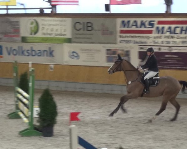 Reitturnier Keppeln - Reitanlage "Hötzenhof" 2021