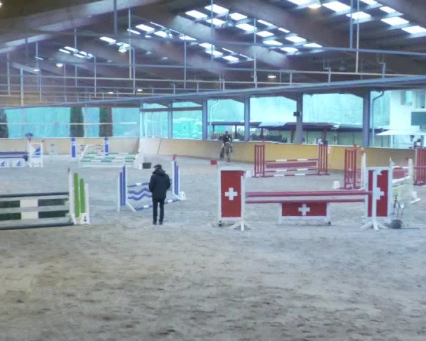 Reitturnier Lahr-Langenwinkel 2021