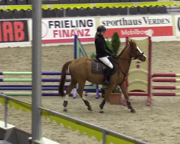 Reitturnier Verden Montagsclub 2021
