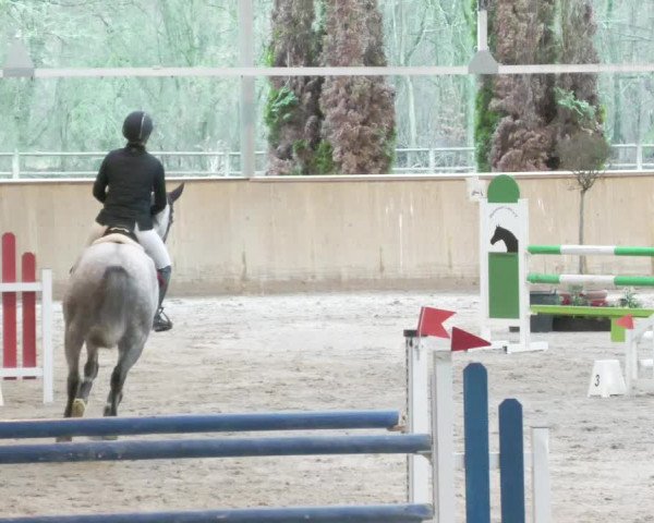 Reitturnier Lahr-Langenwinkel 2021