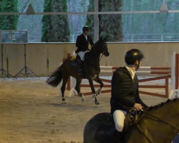 Reitturnier Lahr-Langenwinkel 2021