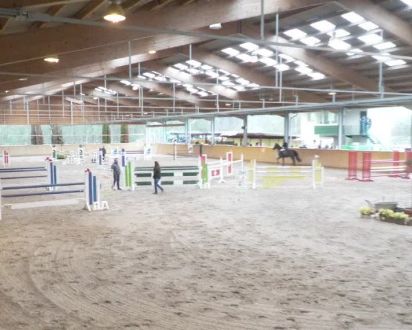Reitturnier Lahr-Langenwinkel 2021