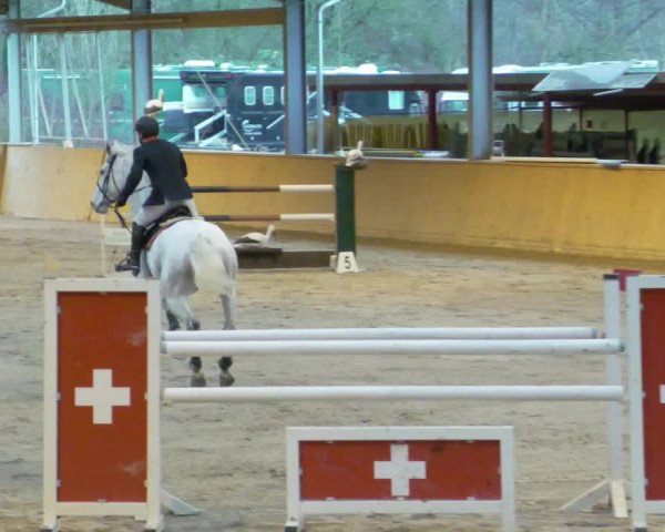 Reitturnier Lahr-Langenwinkel 2021