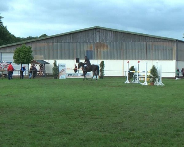 jumper Le Grand Marnier (Westphalian, 2005, from Liberty Life 125 FIN)
