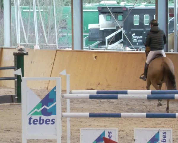 Reitturnier Lahr-Langenwinkel 2021