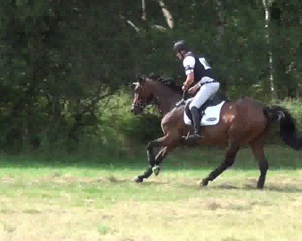 jumper Velvet 97 (Westphalian, 2007, from Van the Man)