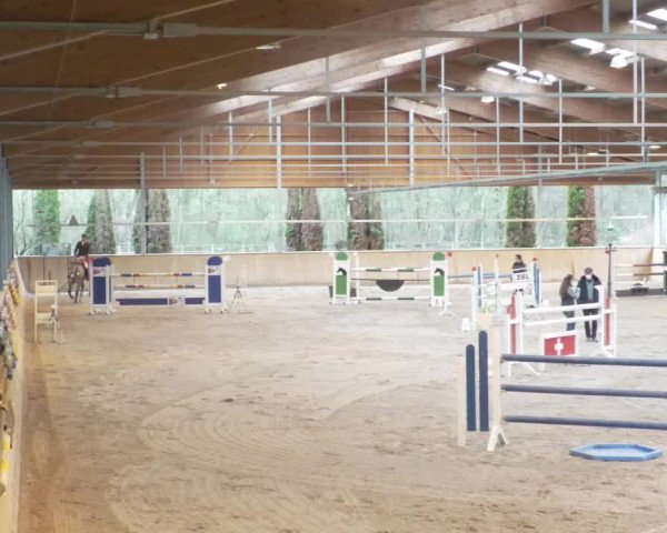 Reitturnier Lahr-Langenwinkel 2021
