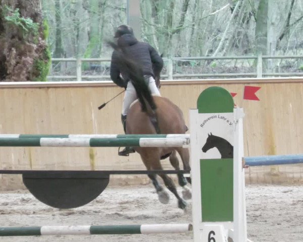 Reitturnier Lahr-Langenwinkel 2021