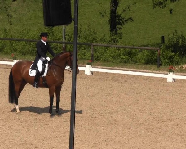 dressage horse Ehrentraum 3 (Westphalian, 2005, from Ehrentusch)
