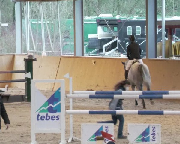 Reitturnier Lahr-Langenwinkel 2021