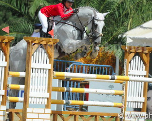 Pferd Genzarova (Holsteiner, 2005, von Contact Me)