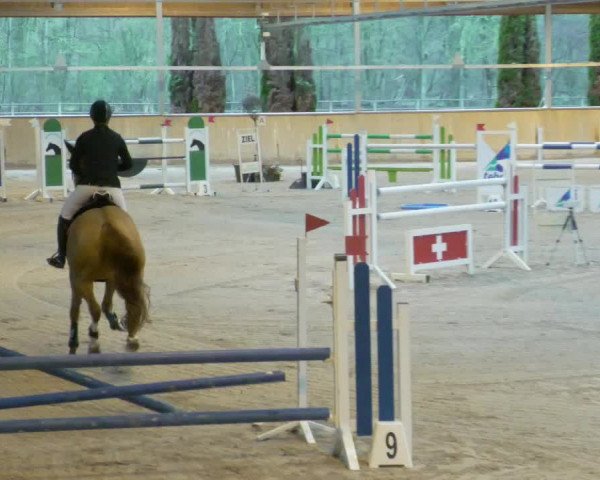 Reitturnier Lahr-Langenwinkel 2021