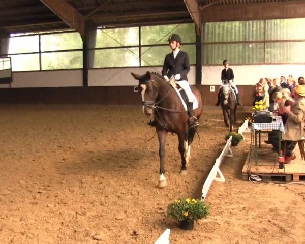 broodmare Empire Lady 3 (Westphalian, 2007, from Ehrenpreis)