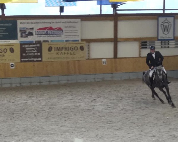 Reitturnier Keppeln - Reitanlage "Hötzenhof" 2021