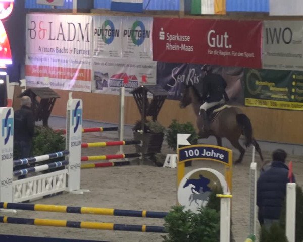 Reitturnier Keppeln - Reitanlage "Hötzenhof" 2021