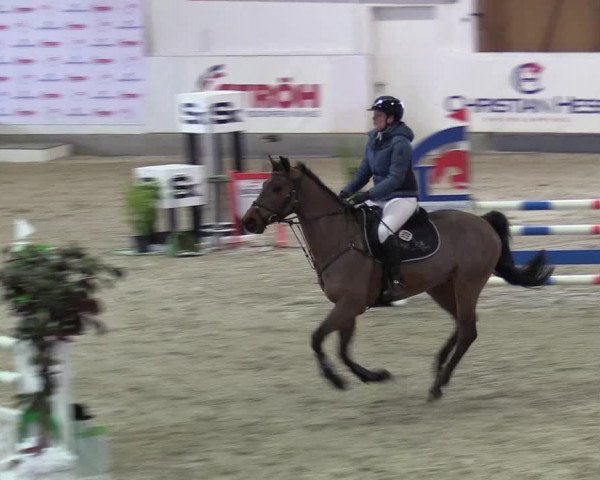 Reitturnier Negernbötel 2021, 10. Nordic Jumping event 2020/2021