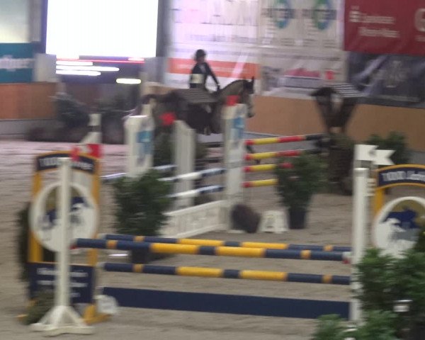Reitturnier Keppeln - Reitanlage "Hötzenhof" 2021