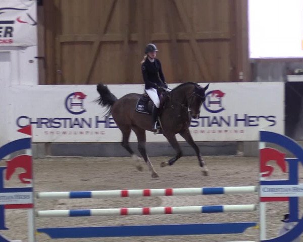 Reitturnier Negernbötel 2021, 10. Nordic Jumping event 2020/2021
