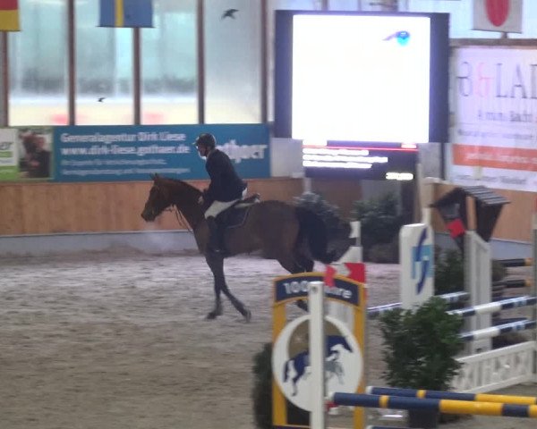 Reitturnier Keppeln - Reitanlage "Hötzenhof" 2021