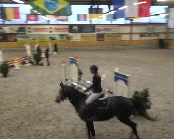 Reitturnier Keppeln - Reitanlage "Hötzenhof" 2021