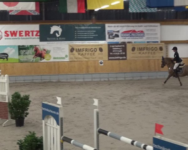 Reitturnier Keppeln - Reitanlage "Hötzenhof" 2021