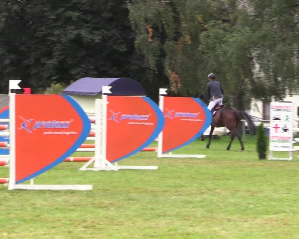 Reitturnier Altmittweida 2021