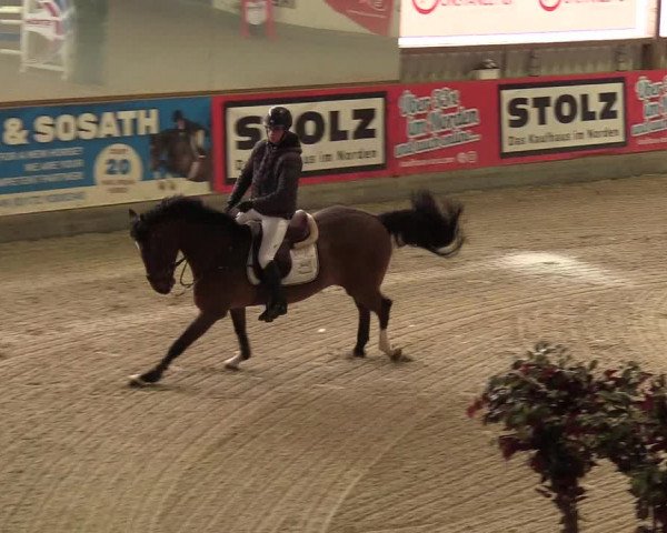 Reitturnier Negernbötel 2021, 10. Nordic Jumping event 2020/2021